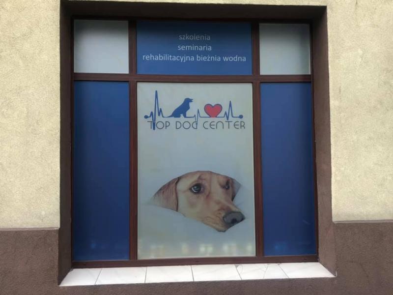 Szkoła Top Dog Center