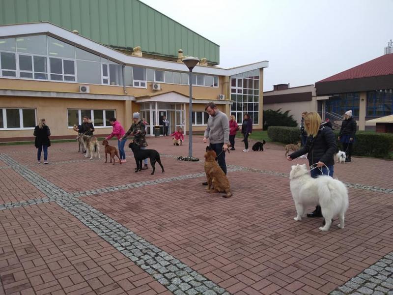 Szkoła Top Dog Center