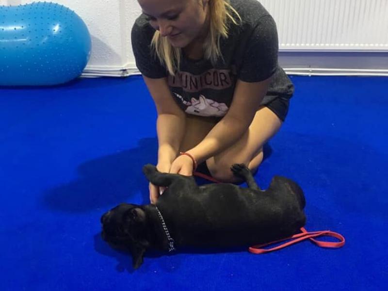 67872292 367024850662320 8294234773799305216 N