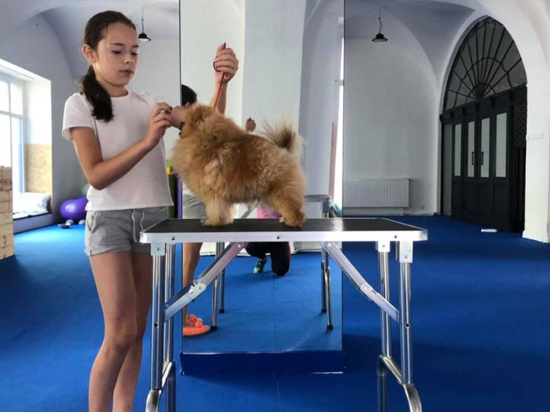 67937001 368884910476314 8153537860000022528 N