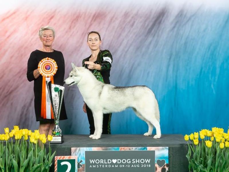 Aleksandra Szydłowska